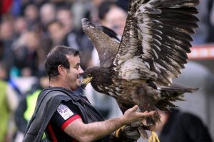 Soutien pour l Aigle  de Nice  Blog Nice  et C te d Azur