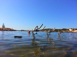 aquabike beaulieu côte d'azur nice aquabike by fl'eau