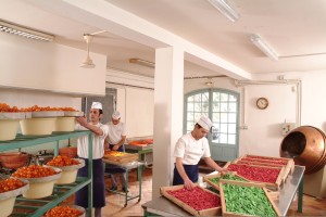 atelier production confiserie florian nice