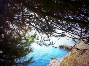 vue cap d'antibes randonnée promenade nice weekend