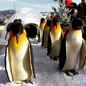 Regalà Mercat marché de Noël polaire saint jean cap ferrat nice