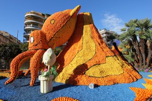 photo de fete du citron menton agrumes