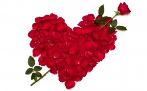 photo roses saint valentin coeur image amour love