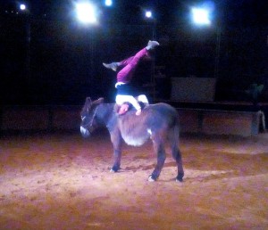 Stéphane LAISNÉ âne spectacle volia nice