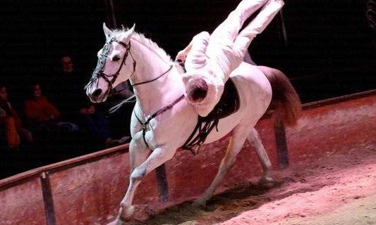 voltige equestre Charles LAMARCHE spectacle volia nice