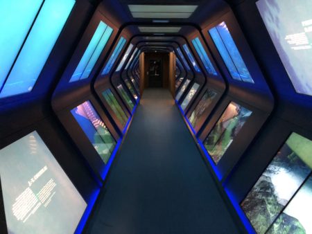 commandant cousteau musée océanographique monaco