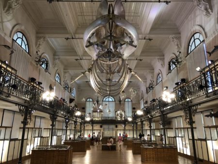 visite musée océanographique monaco