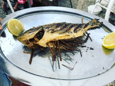 daurade royale monaco