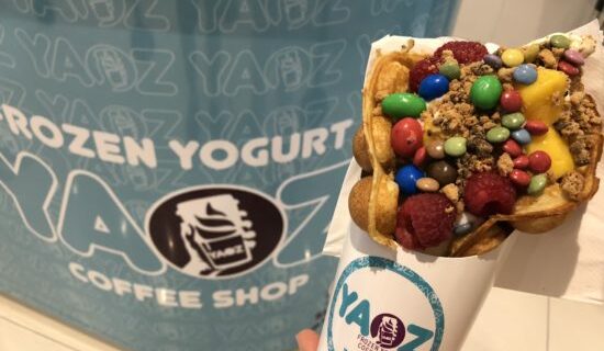 gaufre yaourt glacé yaoz