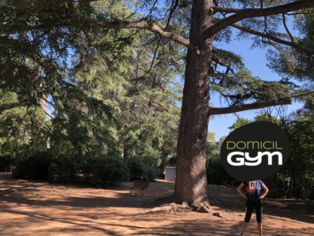 coach sportif domicil gym nice