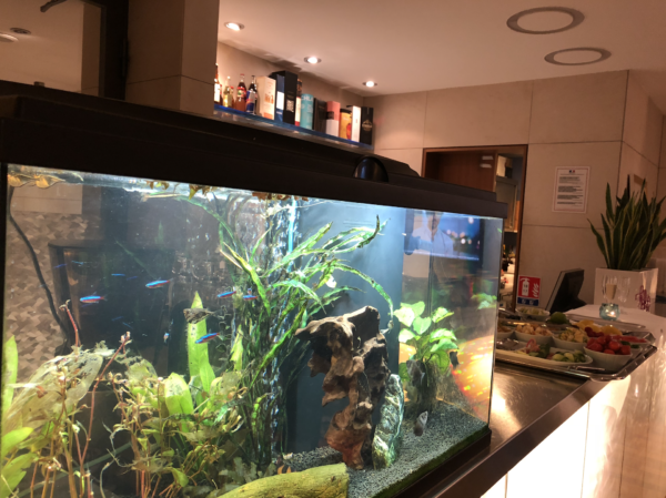 aquarium bar hôtel Beau Rivage Nice
