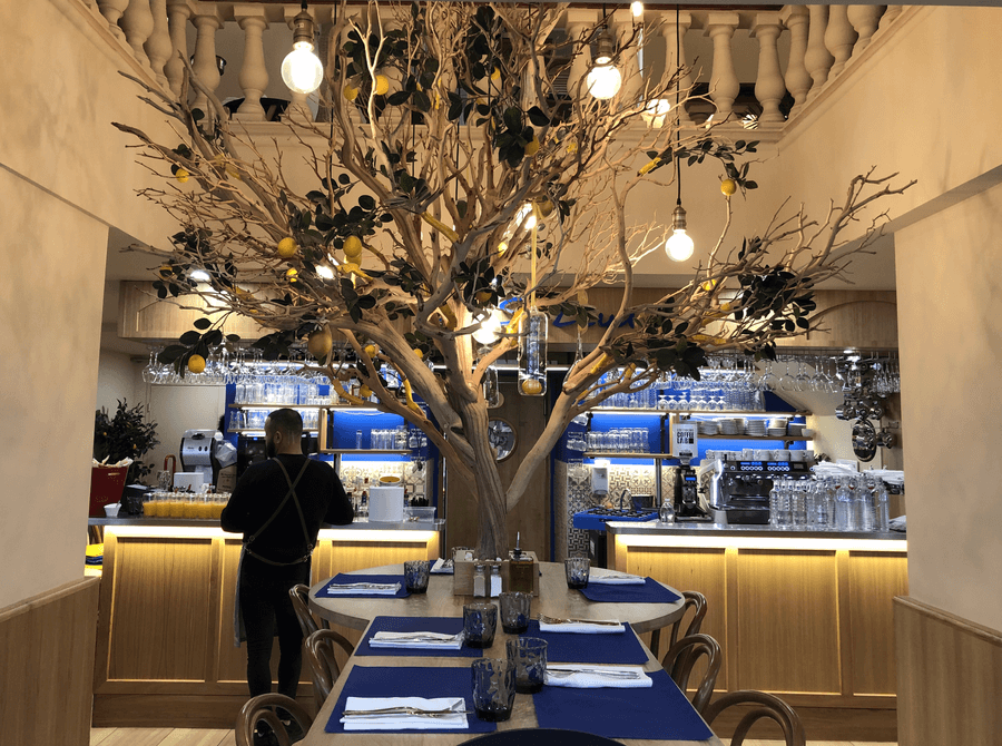 restaurant casa leya cours saleya nice