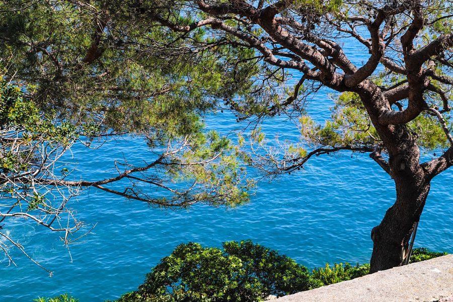 Séjour sur la Côte d’Azur : l’essentiel à voir