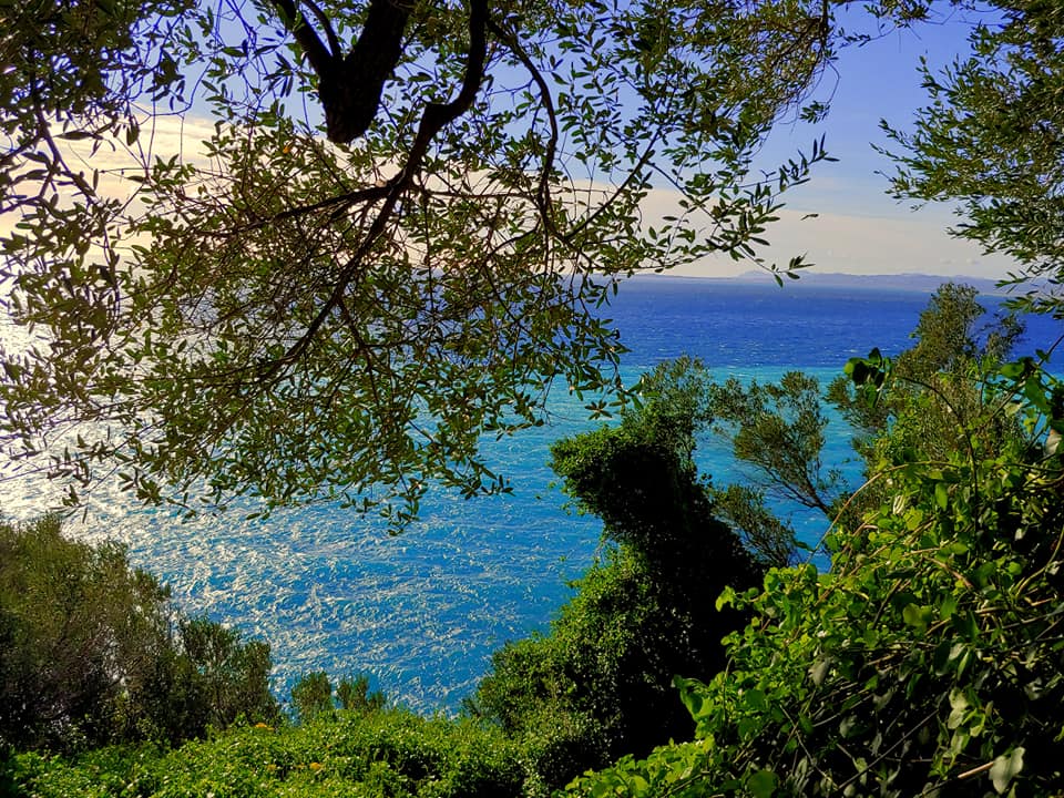 flo côte d'azur photographies