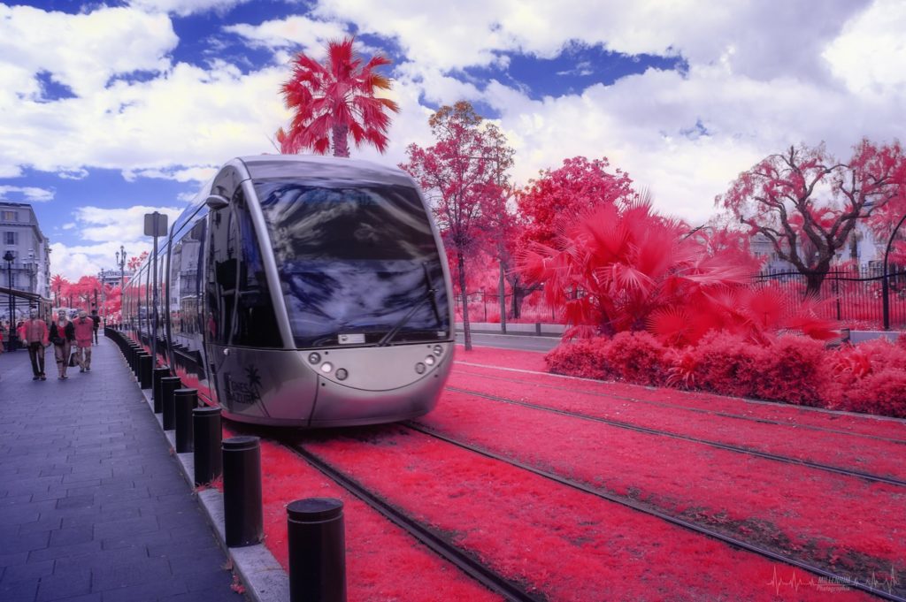 millenium photographie