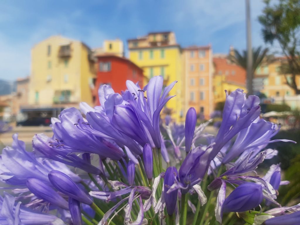 photo capteur d'images