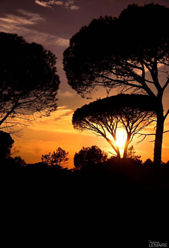 thomas lemaire photography photo