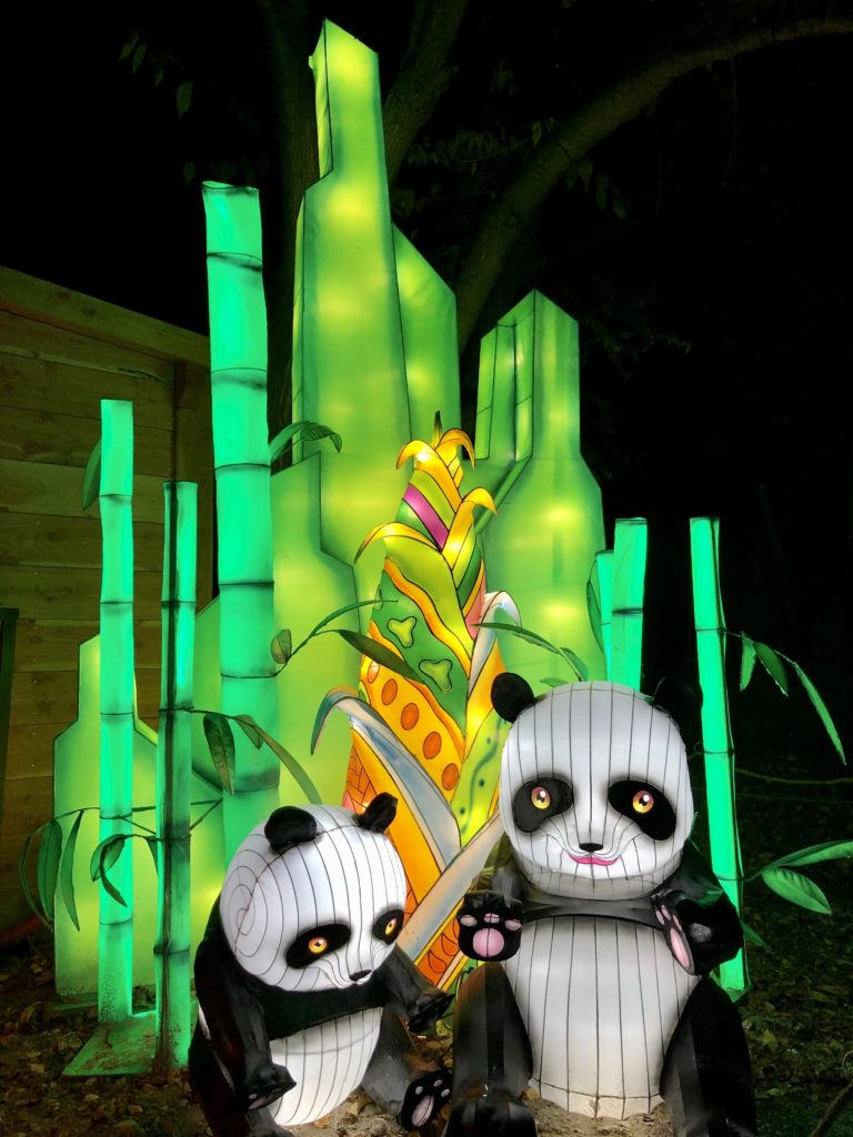 Nice Baie des Lumières