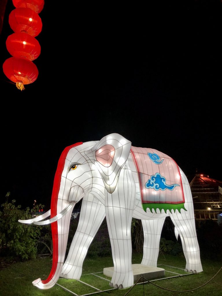 Nice Baie des Lumières