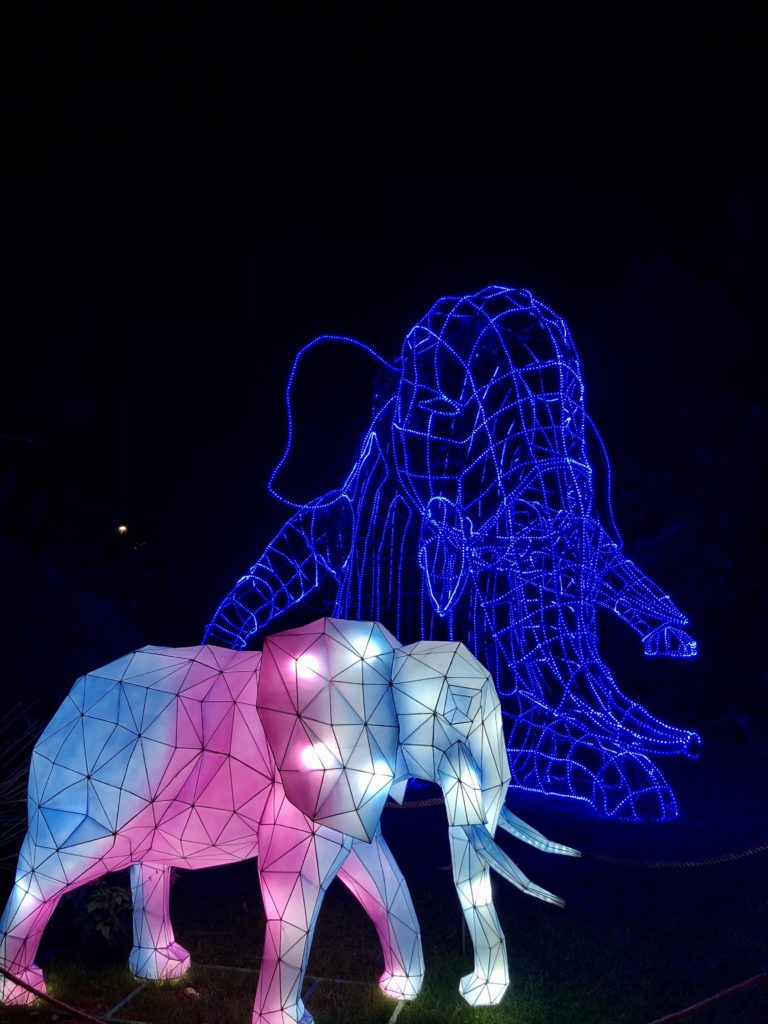 Nice Baie des Lumières