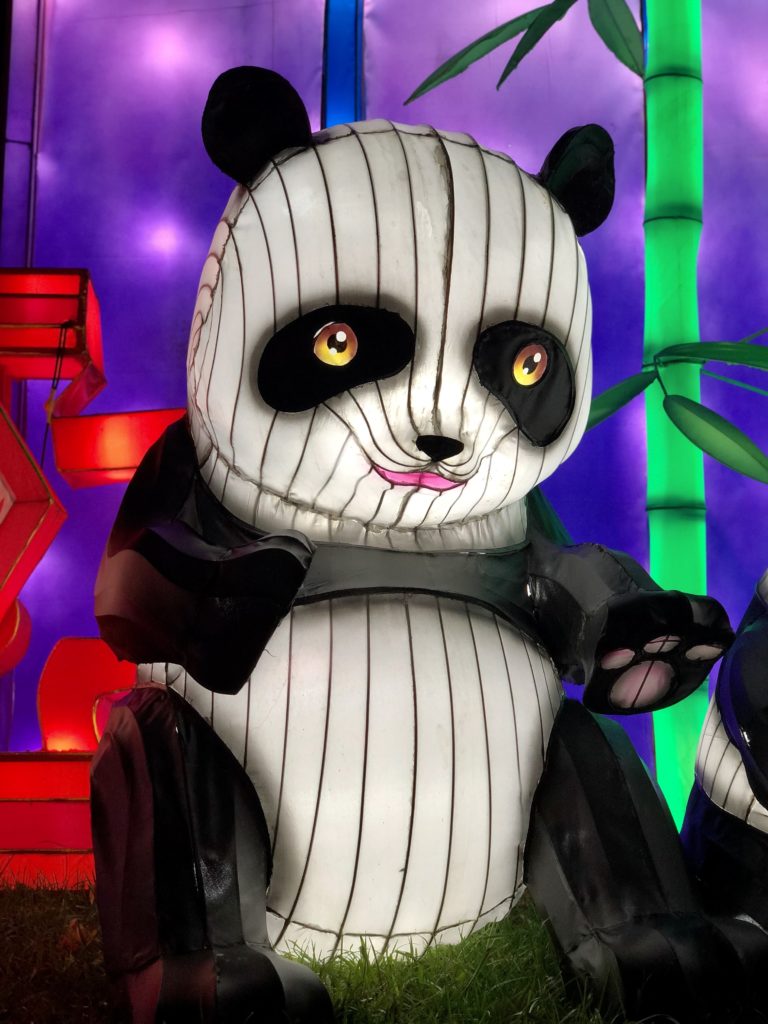 Nice Baie des Lumières