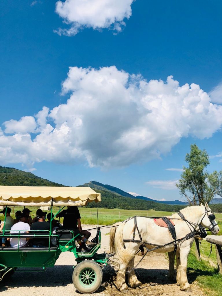 safari caleche reserve monts azur