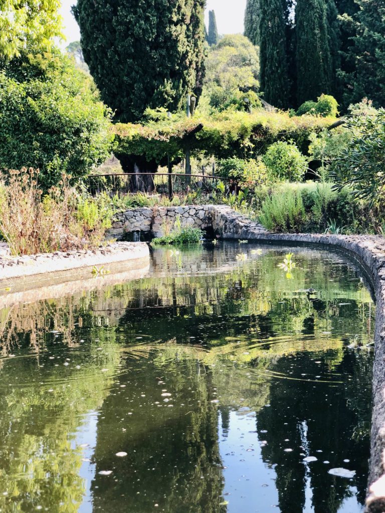jardin fleur à grasse