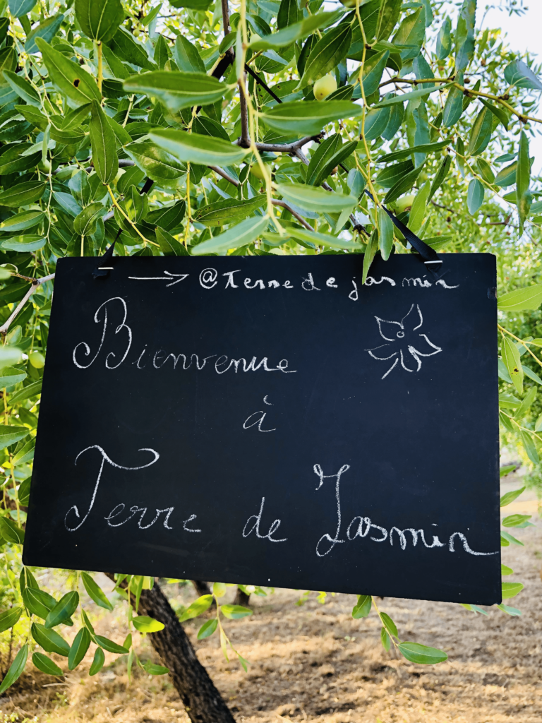 terre de jasmin