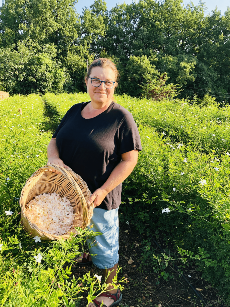 terre de jasmin fleur tourisme à grasse et ses alentours