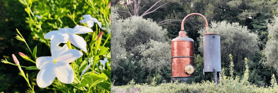 tourisme à Grasse et ses alentours