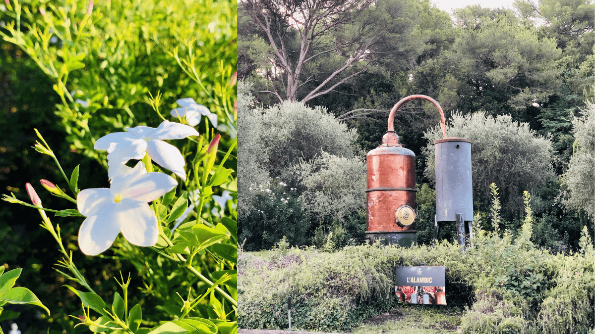tourisme à Grasse et ses alentours