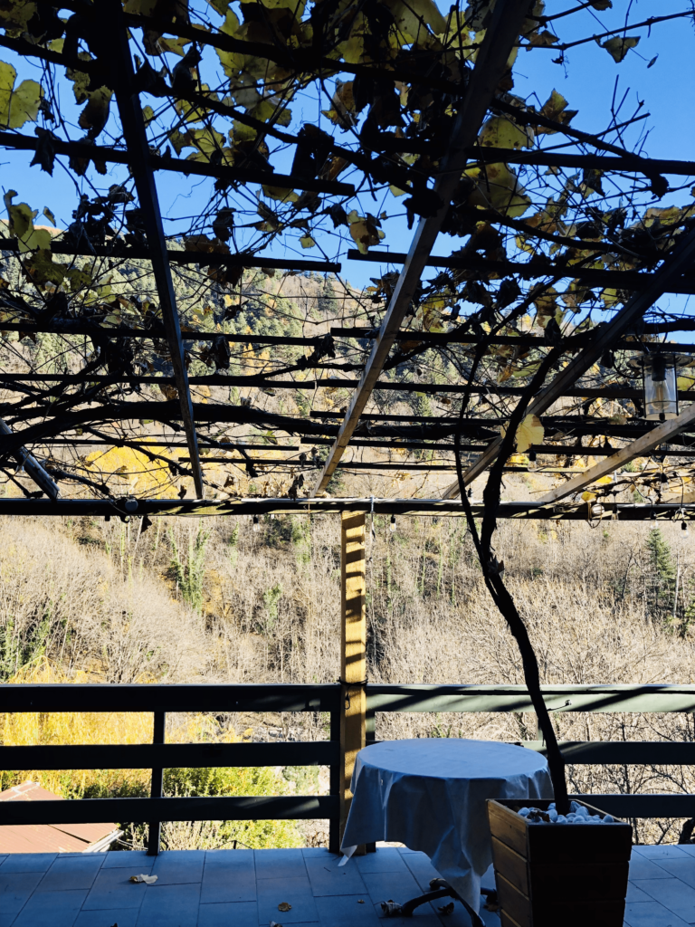 restaurant la treille saint martin vésubie