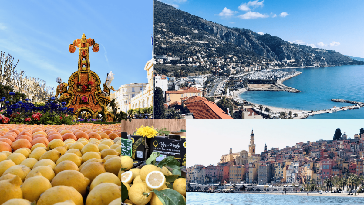 menton fete citron sortie