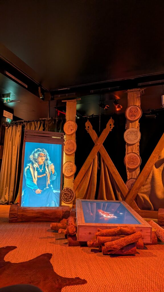 expérience immersive viking nice