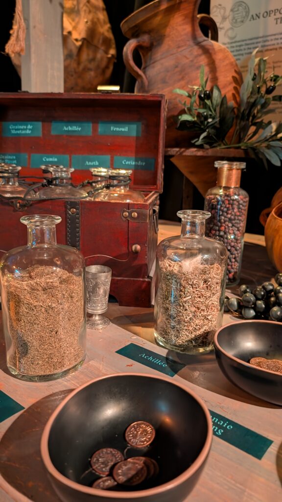 expérience immersive viking nice décor