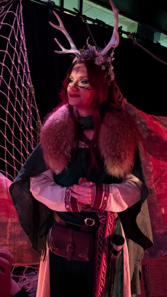 nice expérience immersive viking