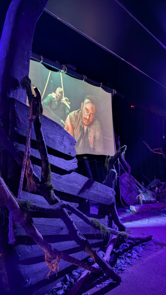 photo expérience immersive viking nice